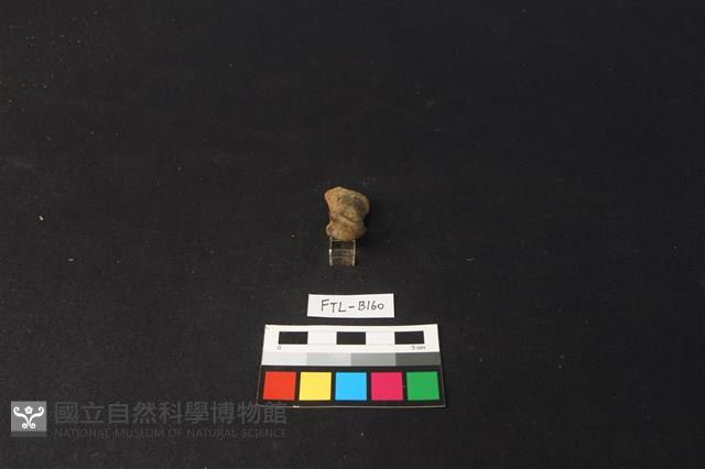 鹿骨藏品圖，第3張