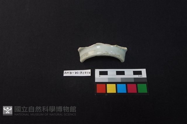 瓷片藏品圖，第3張