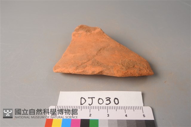 陶片藏品圖，第3張