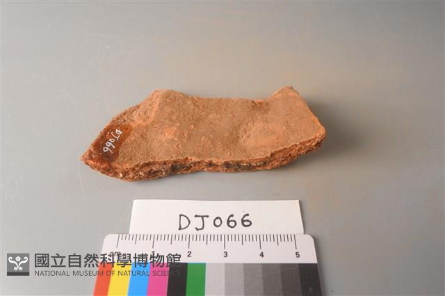 陶片藏品圖，第3張