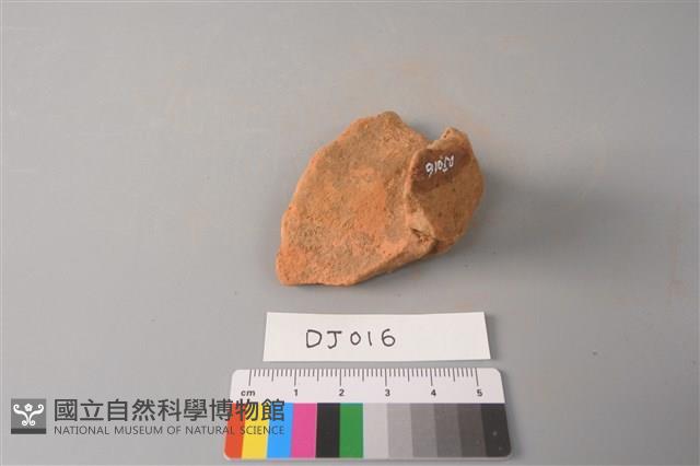 陶片藏品圖，第3張