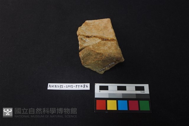 陶片藏品圖，第3張