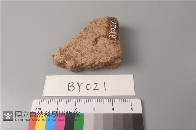 陶片藏品圖，第3張