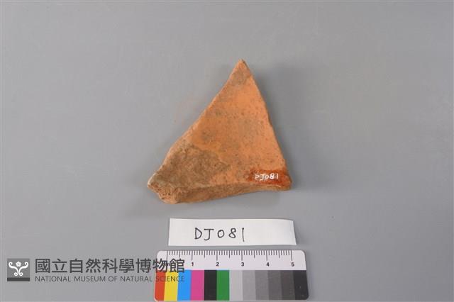 陶片藏品圖，第3張