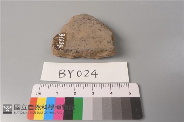 陶片藏品圖，第3張