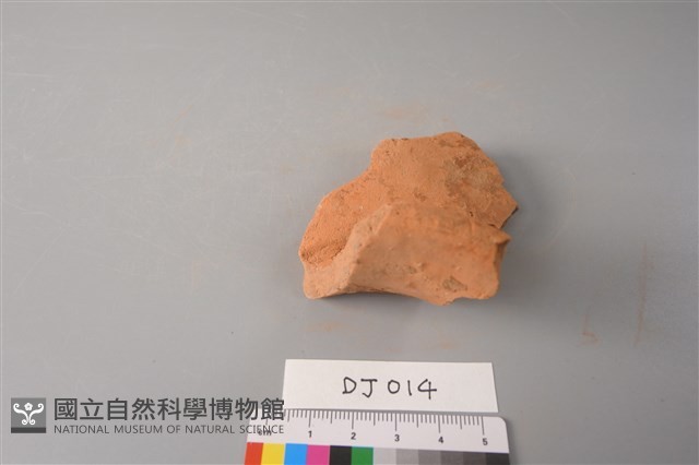陶片藏品圖，第3張