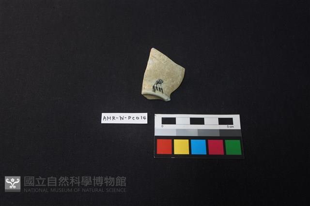 瓷片藏品圖，第3張