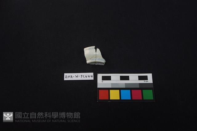 瓷碟藏品圖，第3張