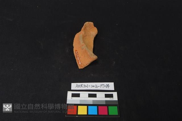 陶片藏品圖，第3張