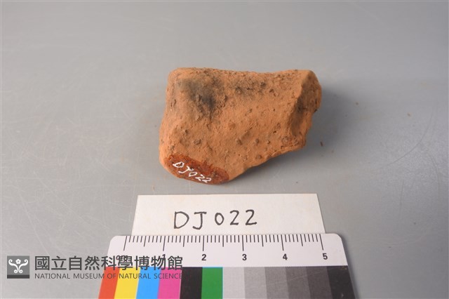 陶片藏品圖，第3張