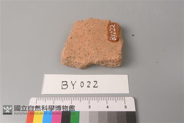 陶片藏品圖，第3張