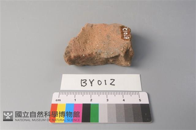 陶片藏品圖，第3張