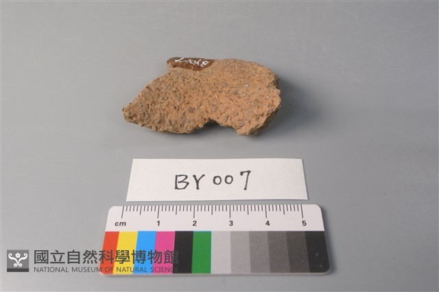 陶片藏品圖，第3張