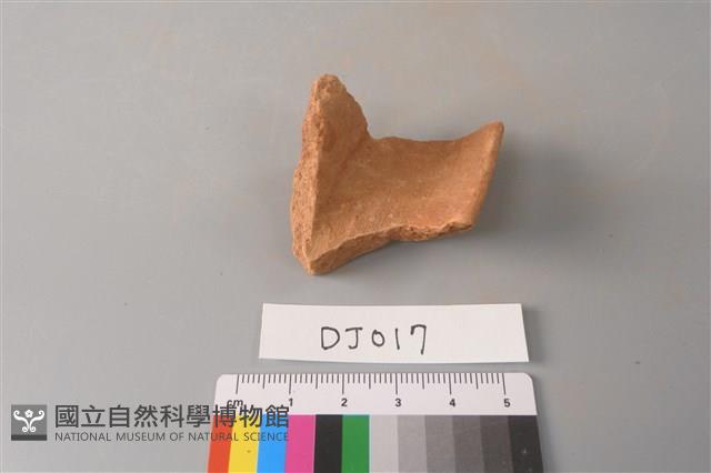 陶片藏品圖，第3張