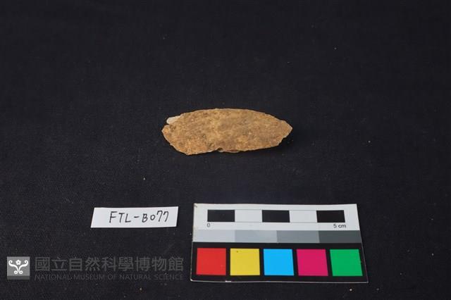 獸骨藏品圖，第3張