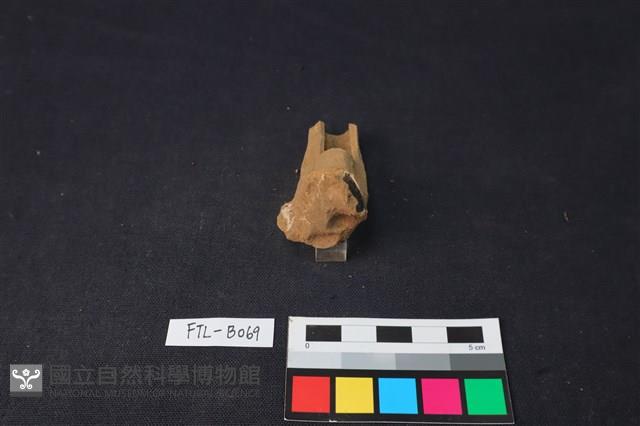 獸骨藏品圖，第3張