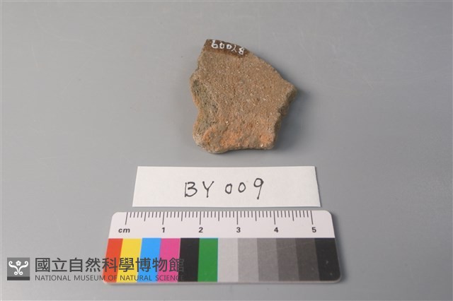 陶片藏品圖，第3張