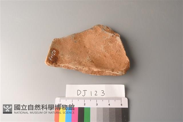 陶片藏品圖，第3張