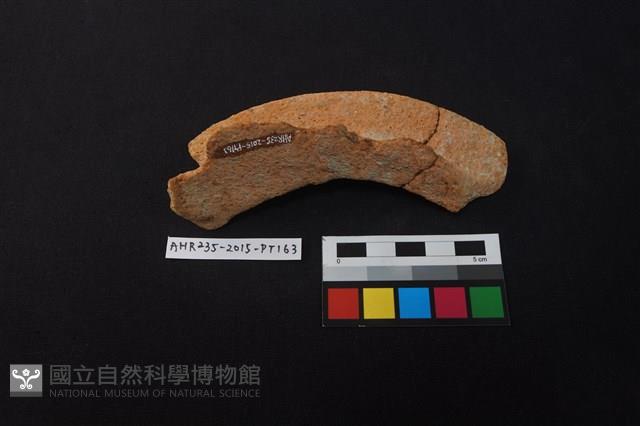 陶片藏品圖，第2張