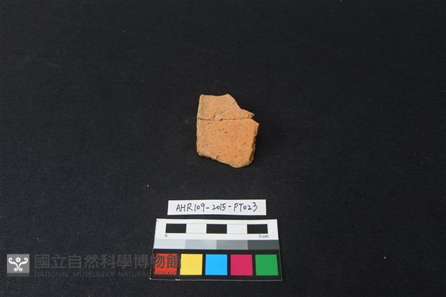 陶片藏品圖，第2張