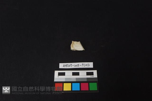 瓷片藏品圖，第2張