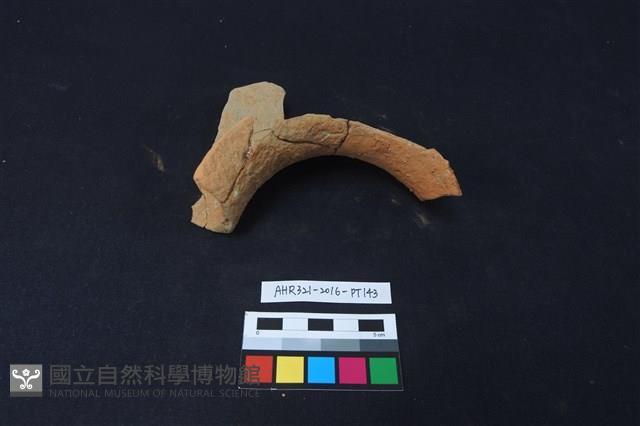 陶片藏品圖，第2張