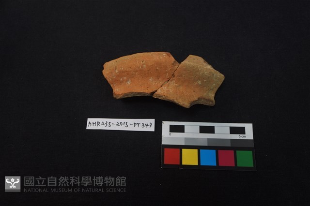 陶片藏品圖，第2張