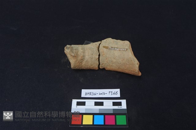 陶片藏品圖，第2張