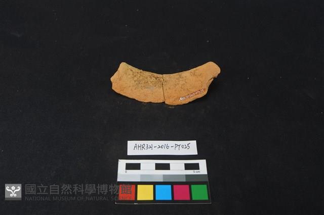 陶片藏品圖，第2張