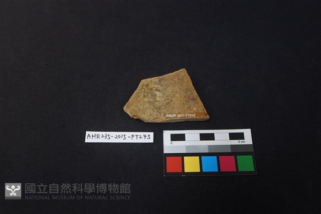 陶片藏品圖，第2張