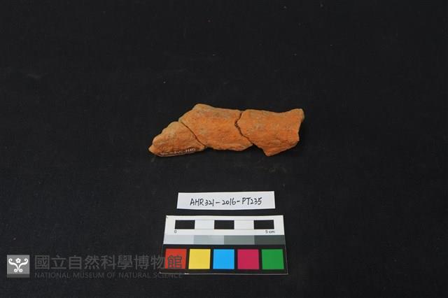 陶片藏品圖，第2張