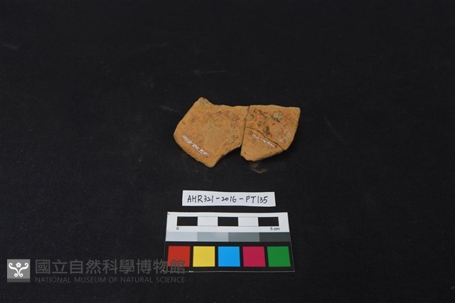 陶片藏品圖，第2張