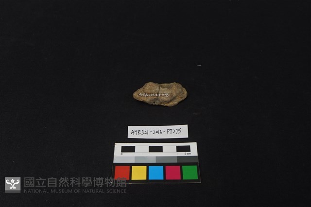 陶片藏品圖，第2張