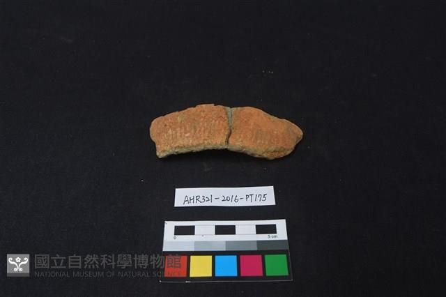 陶片藏品圖，第2張