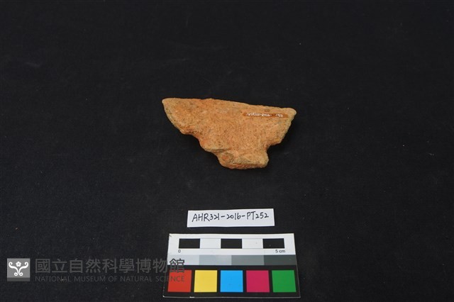 陶片藏品圖，第2張