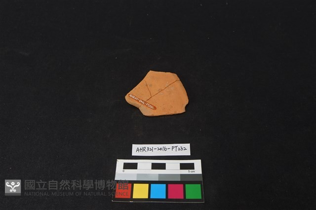 陶片藏品圖，第2張