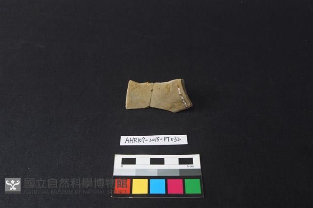 陶片藏品圖，第2張