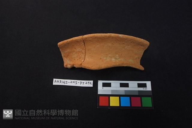 陶片藏品圖，第2張
