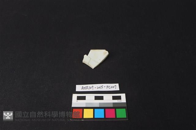 瓷片藏品圖，第2張