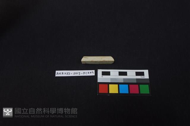 瓷片藏品圖，第2張