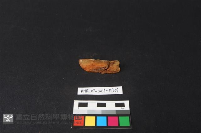 連杯形器藏品圖，第2張