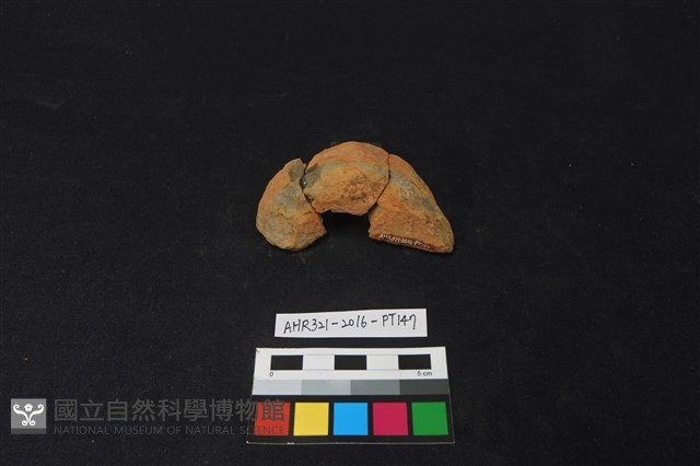 陶片藏品圖，第2張