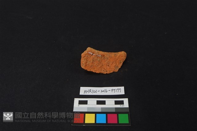 陶片藏品圖，第2張