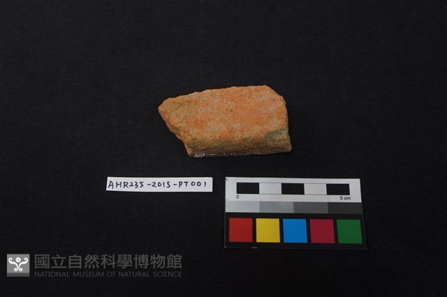 陶片藏品圖，第2張