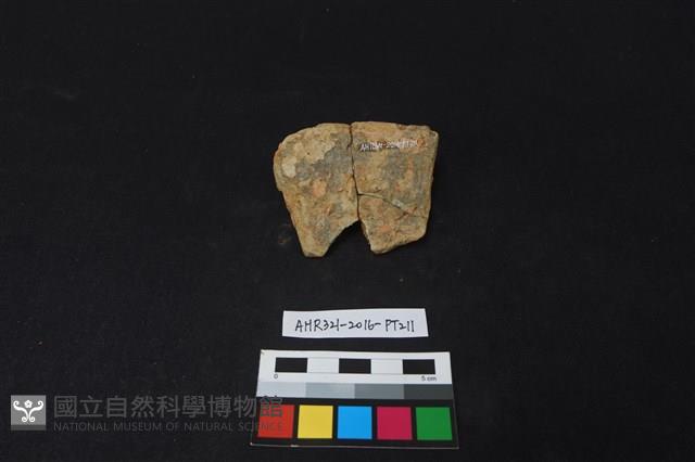 陶片藏品圖，第2張