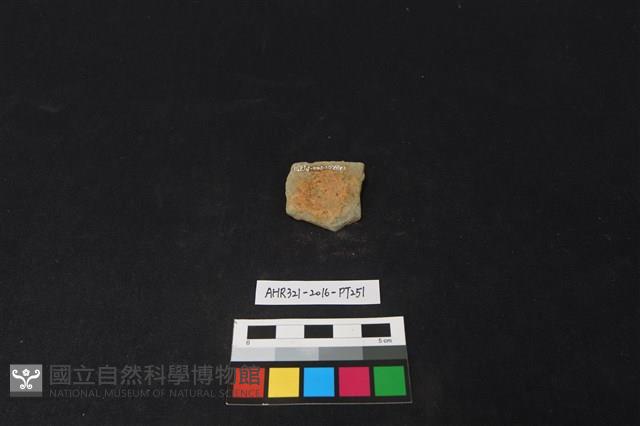 陶片藏品圖，第2張