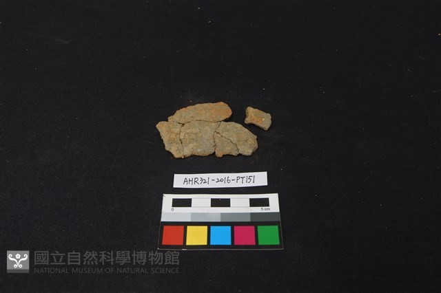 陶片藏品圖，第2張