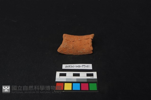 陶片藏品圖，第2張