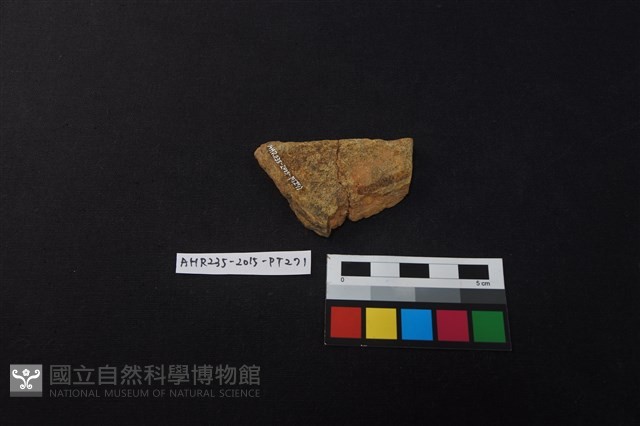 陶片藏品圖，第2張