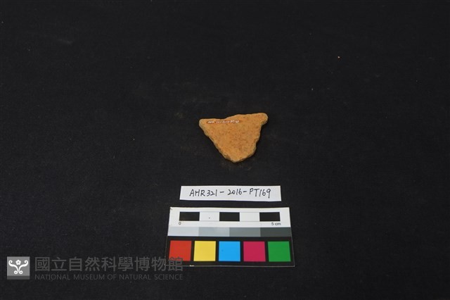 陶片藏品圖，第2張